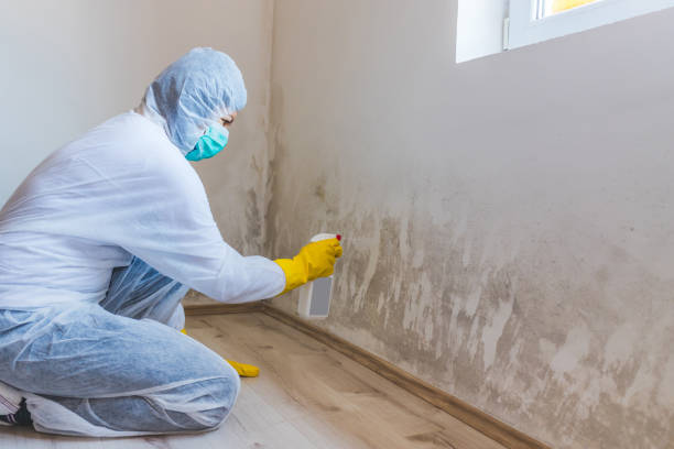 Licensed Mold Testing service in Morrisville, PA - WQB Mold Removal