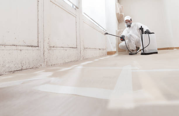 24/7 Emergency Mold Testing experts in Morrisville, PA