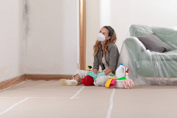 Reliable Mold Testing contractor in Morrisville, PA by WQB Mold Removal
